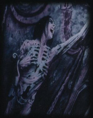 dani le vampyr du cradle